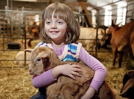 Petting Zoo for hire Brisbane