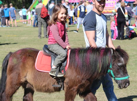 Pony Rides for hire Brisbane