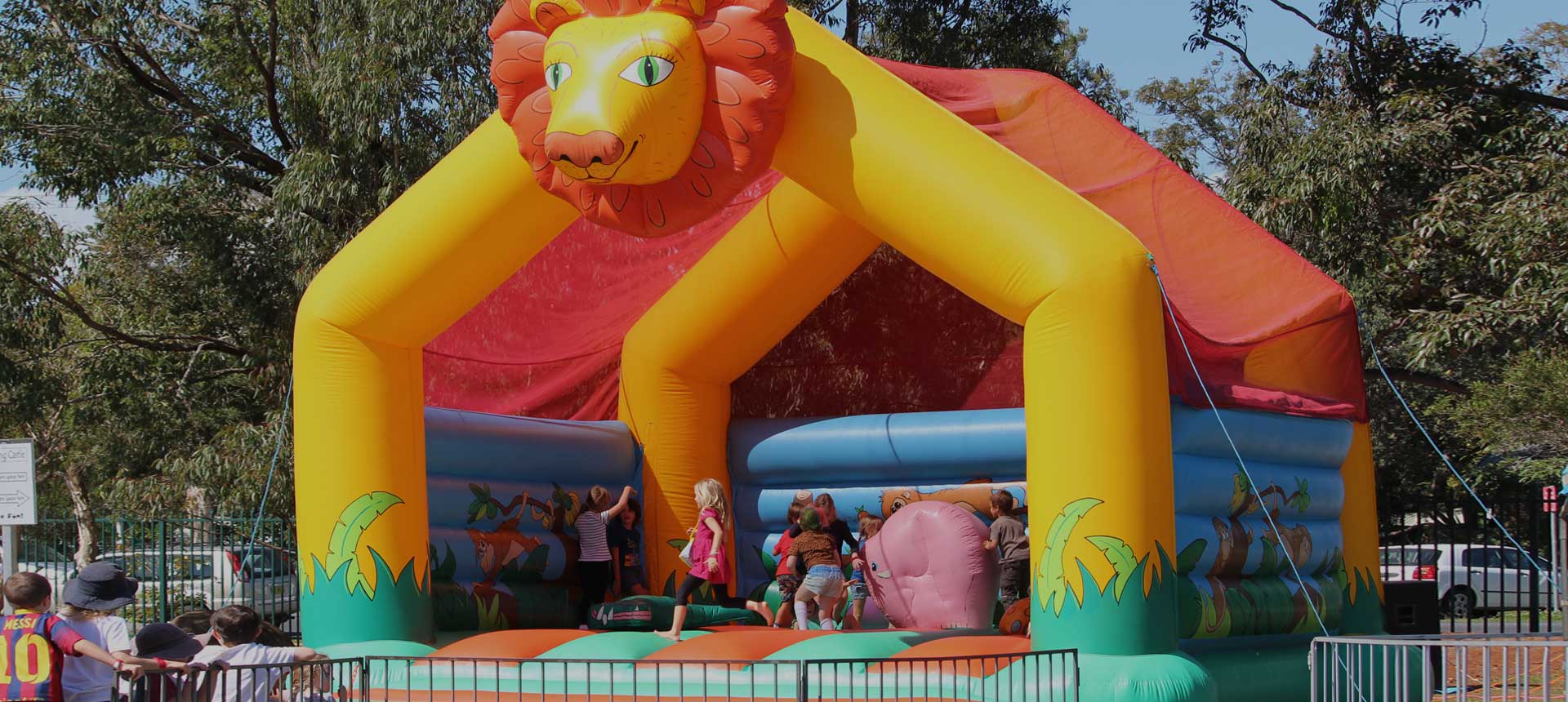 Jubilee Entertainment Lion Safari for hire Brisbane
